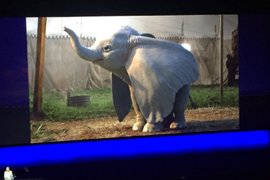 《小飛象真人版》首張「真象圖」 公開 電影2019年3月上映 《小飛象真人版》首張「真象圖」 公開 電影2019年3月上映