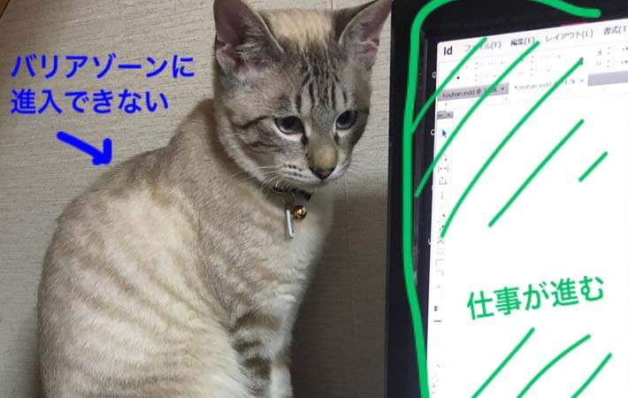 貓奴想出《礙事貓對策》對付超愛躺鍵盤的《礙事貓》(笑) 貓奴想出《礙事貓對策》對付超愛躺鍵盤的《礙事貓》(笑)