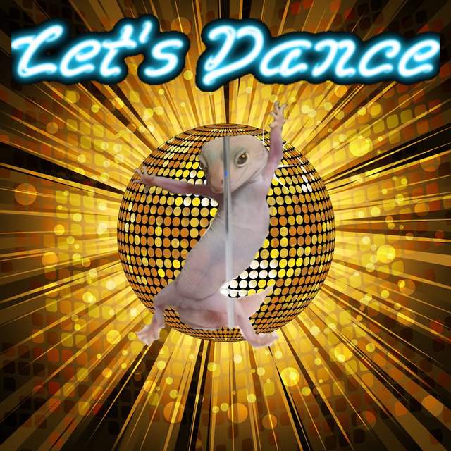 搔首弄姿的《豹紋壁虎》大家玩起合成啦～感覺真的是太搭啦