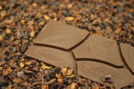《巧克力怎麼來的》這是全世界最重要的一種作物... 《巧克力怎麼來的》這是全世界最重要的一種作物...