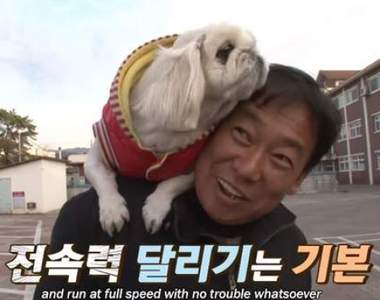 TV動物農場《站在肩膀上的狗》因為一個原因打死不從肩膀上下來 TV動物農場《站在肩膀上的狗》因為一個原因打死不從肩膀上下來