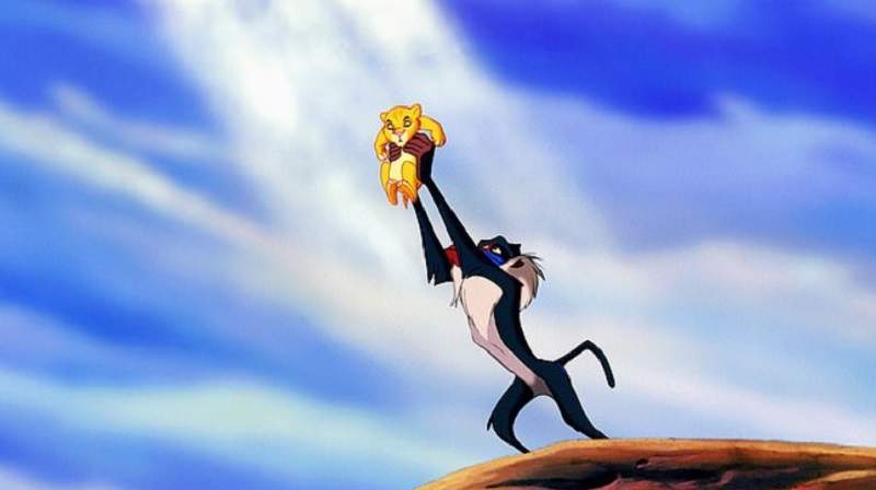 原來電影是真的!攝影師意外拍到《獅子王》經典場景 所以這孩子是辛巴嗎? 原來電影是真的!攝影師意外拍到《獅子王》經典場景 所以這孩子是辛巴嗎?