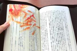 看書也能消暑《透明金魚書籤》有如金魚優游字裡行間的浪漫設計 看書也能消暑《透明金魚書籤》有如金魚優游字裡行間的浪漫設計