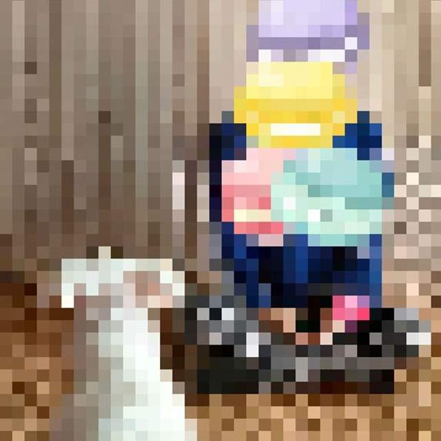 讓賣家傻眼的《狗籠買家秀》買家回應太爆笑讓大家笑到美叮美噹 讓賣家傻眼的《狗籠買家秀》買家回應太爆笑讓大家笑到美叮美噹