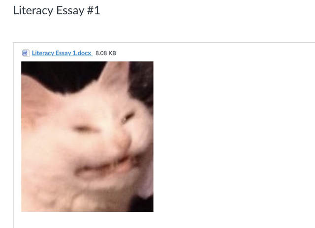 《傳錯作業給教授》挑這張圖真的不是在挑釁嗎？