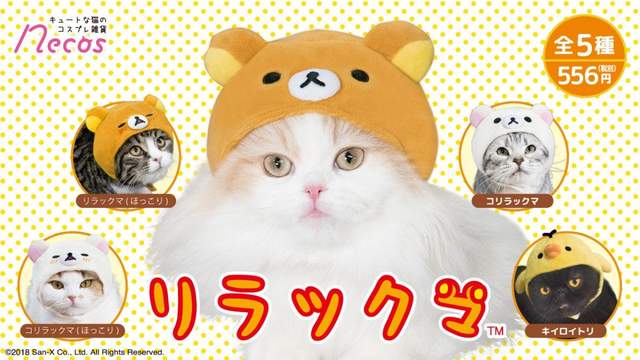 《懶懶熊貓咪頭套》可愛到主人但無奈到喵星人的人氣頭套又來啦ww 《懶懶熊貓咪頭套》可愛到主人但無奈到喵星人的人氣頭套又來啦ww