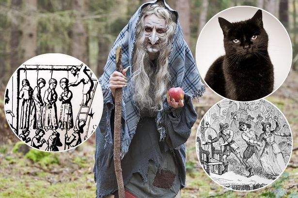 《辨別女巫的10種方法》當年的塞勒姆審巫案聽說就是用這種方法 《辨別女巫的10種方法》當年的塞勒姆審巫案聽說就是用這種方法