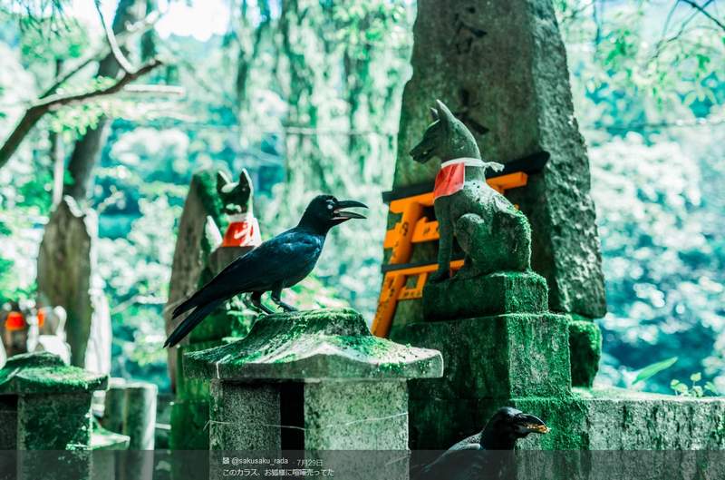 《伏見稻荷大社》各種快門取景這裡就是一處擁有無限魅力的地方