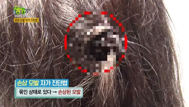 專家用這招做《髮質健康檢測》順便告訴你如何保養頭髮才不會變成稻草頭 專家用這招做《髮質健康檢測》順便告訴你如何保養頭髮才不會變成稻草頭