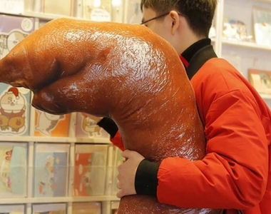 美食抱枕無極限《超擬真紅燒豬蹄膀抱枕》好油膩www想配碗白飯 美食抱枕無極限《超擬真紅燒豬蹄膀抱枕》好油膩www想配碗白飯