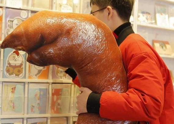 美食抱枕無極限《超擬真紅燒豬蹄膀抱枕》好油膩www想配碗白飯 美食抱枕無極限《超擬真紅燒豬蹄膀抱枕》好油膩www想配碗白飯