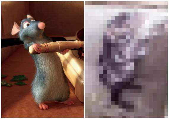 不可思議影片《水溝老鼠在他浴室洗香香》渾身泡泡還左搓搓右揉揉