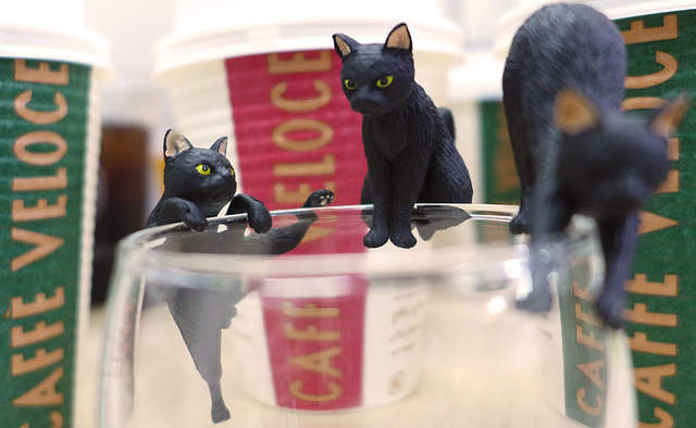 只送不賣《杯緣黑貓》日本連鎖咖啡店集杯贈　給你更多喝咖啡的理由