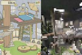室內設計神人神還原《旅遊青蛙蛙宅格局》蛙兒蛙女不回家只好住進去思念啦~ 室內設計神人神還原《旅遊青蛙蛙宅格局》蛙兒蛙女不回家只好住進去思念啦~