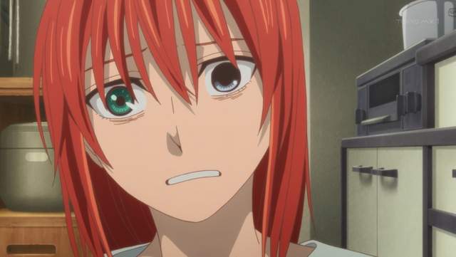 動畫迷全笑噴《魔法使的新娘第22話神廣告》只有看首播才能體會的樂趣…… 動畫迷全笑噴《魔法使的新娘第22話神廣告》只有看首播才能體會的樂趣……