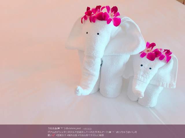 《毛巾藝術》摳！摳！兩聲敲門進去期待看到的貼心光景