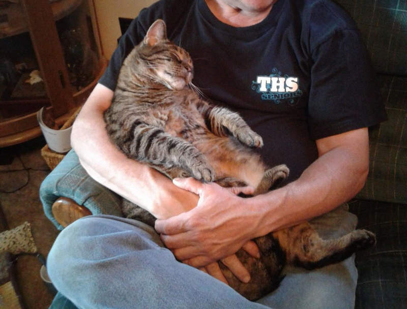 《我貓對我爸一見鍾情》之前養你10年的情份都不算了嗎Q Q 