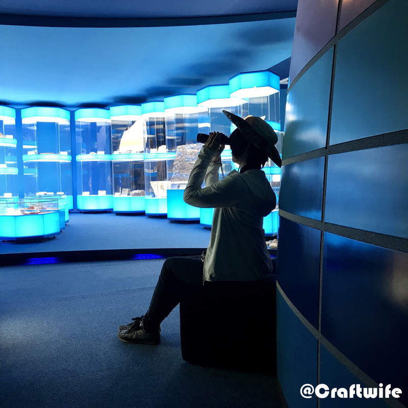 《來去博物館住一晚》日本唯一可以住宿還有恐龍陪伴的《奧出雲多根自然博物館》