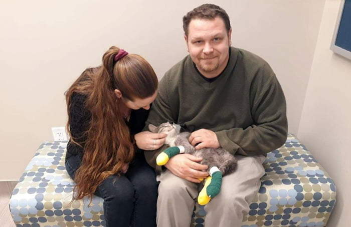 《加州大火走失的貓》與貓奴團聚那一刻眼淚都要掉下來了 《加州大火走失的貓》與貓奴團聚那一刻眼淚都要掉下來了