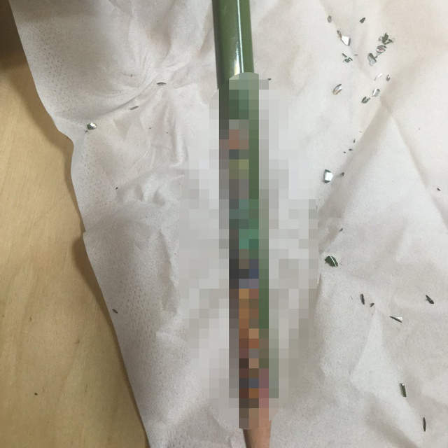 衝擊《合格祈願鉛筆的真相》為考生提升戰鬥力的竟然是賽亞人!? 衝擊《合格祈願鉛筆的真相》為考生提升戰鬥力的竟然是賽亞人!?