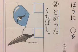 《小學生的天才答案》「選出尖的鳥嘴」兒子他竟然這樣解答... 《小學生的天才答案》「選出尖的鳥嘴」兒子他竟然這樣解答...