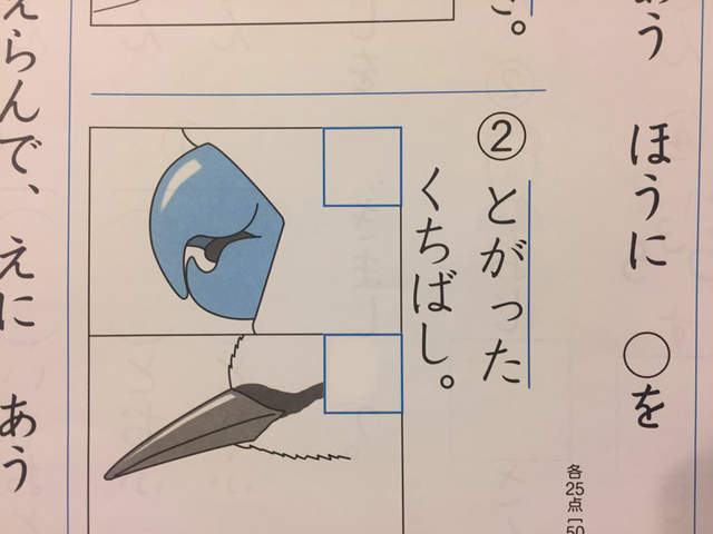 《小學生的天才答案》「選出尖的鳥嘴」兒子他竟然這樣解答... 《小學生的天才答案》「選出尖的鳥嘴」兒子他竟然這樣解答...