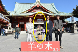 《如果傑尼斯肖像早點解禁》錦戶亮就不用變成一棵盆栽惹www 《如果傑尼斯肖像早點解禁》錦戶亮就不用變成一棵盆栽惹www