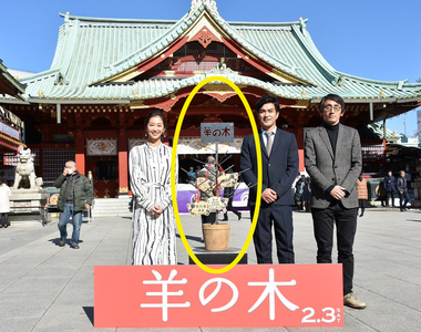 《如果傑尼斯肖像早點解禁》錦戶亮就不用變成一棵盆栽惹www 《如果傑尼斯肖像早點解禁》錦戶亮就不用變成一棵盆栽惹www