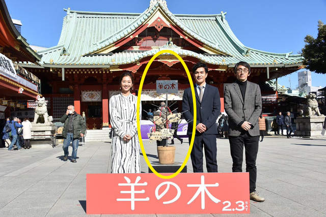 《如果傑尼斯肖像早點解禁》錦戶亮就不用變成一棵盆栽惹www 《如果傑尼斯肖像早點解禁》錦戶亮就不用變成一棵盆栽惹www