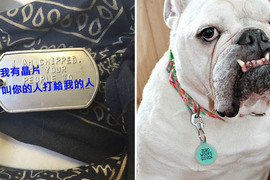《動物的項圈吊牌》看出主人的個性有多差勁w 《動物的項圈吊牌》看出主人的個性有多差勁w