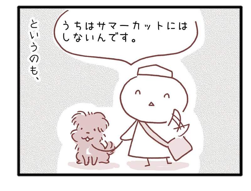 《狗狗夏天不剃毛的理由》天氣再熱還是不把毛剃光 其實是為了保護牠們? 《狗狗夏天不剃毛的理由》天氣再熱還是不把毛剃光 其實是為了保護牠們?