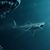 傑森史塔森《巨齒鯊》評價公開 暑假必看娛樂性最高電影