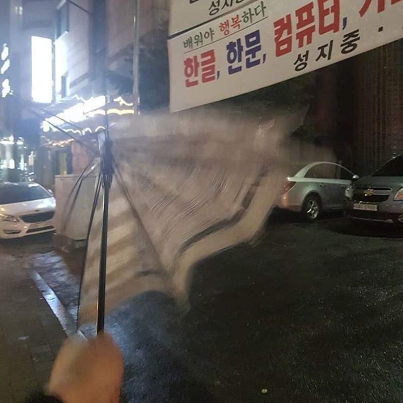 網友分享《百圓商店雨傘使用心得》強風一吹我的尷尬癌就末期了... 網友分享《百圓商店雨傘使用心得》強風一吹我的尷尬癌就末期了...