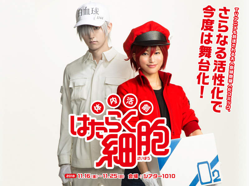 《工作細胞真人舞台劇》定裝照出爐啦 那個細胞的笑容也太可愛了吧www 《工作細胞真人舞台劇》定裝照出爐啦 那個細胞的笑容也太可愛了吧www