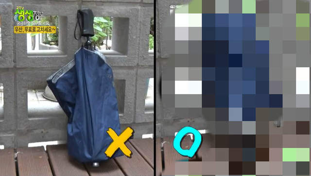 不知道也不會死的《雨傘正確收法》真的是超級~冷的冷知識 不知道也不會死的《雨傘正確收法》真的是超級~冷的冷知識