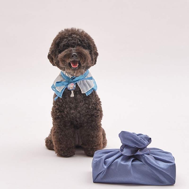 汪!狗狗也能過中秋節《狗狗韓服》穿上韓服跟主人一起回鄉探親吧~ 汪!狗狗也能過中秋節《狗狗韓服》穿上韓服跟主人一起回鄉探親吧~