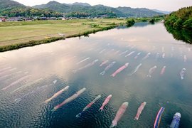 《水中鯉魚旗》日本兒童節高掛鯉魚旗習俗原來還有超美水中版本❤ 《水中鯉魚旗》日本兒童節高掛鯉魚旗習俗原來還有超美水中版本❤