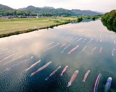 《水中鯉魚旗》日本兒童節高掛鯉魚旗習俗原來還有超美水中版本❤ 《水中鯉魚旗》日本兒童節高掛鯉魚旗習俗原來還有超美水中版本❤