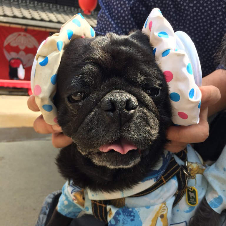 日本網友大推《百圓商店消暑小物》持續高溫的猛暑就靠它們來降溫