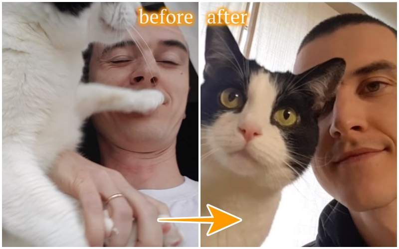 【有片】養貓必學《跟貓咪自拍的成功秘訣》貓奴教你這樣做，主子鏡頭命中率瞬間提升87%