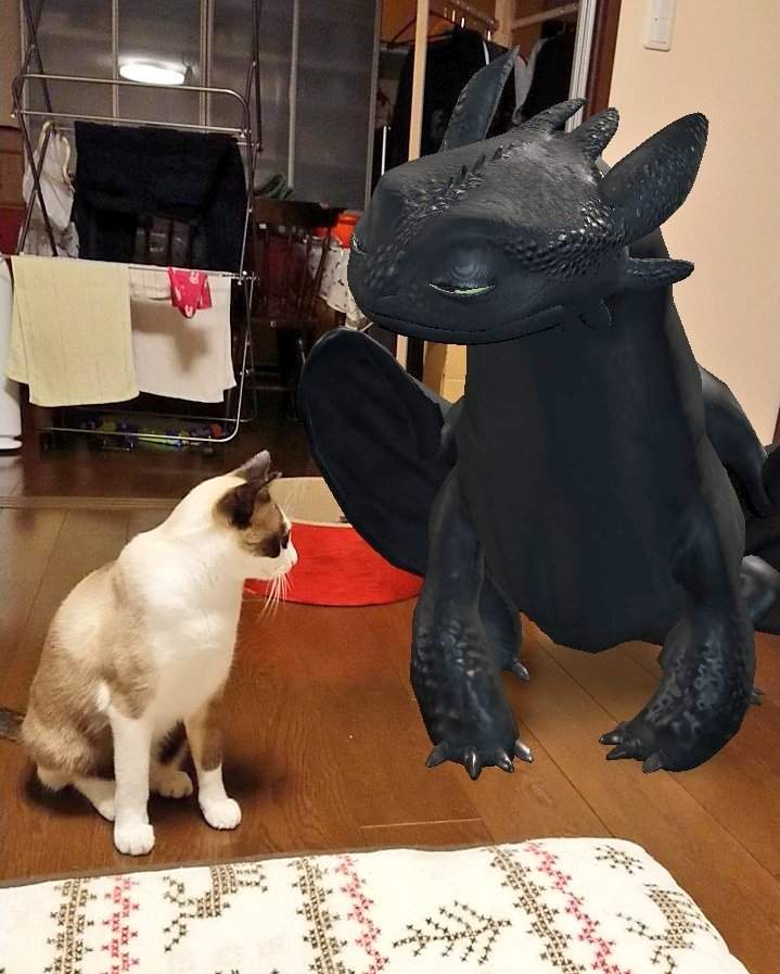 超可愛《馴龍高手拍照特效相機》快來跟沒牙一起來拍合照～～