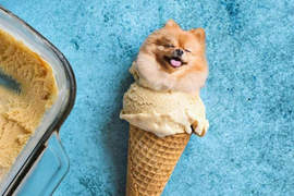 隱身食物裡的狗狗《Dogs In Food》原來我養了一隻炸雞... 隱身食物裡的狗狗《Dogs In Food》原來我養了一隻炸雞...