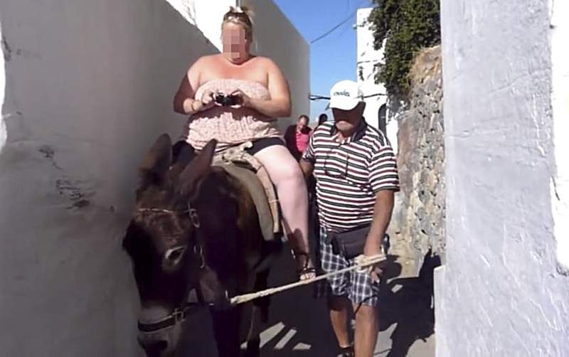 愛琴海夢幻小島《肥胖遊客瘋狂湧入》小驢子血淚過勞,被壓到皮開肉綻… 愛琴海夢幻小島《肥胖遊客瘋狂湧入》小驢子血淚過勞,被壓到皮開肉綻…