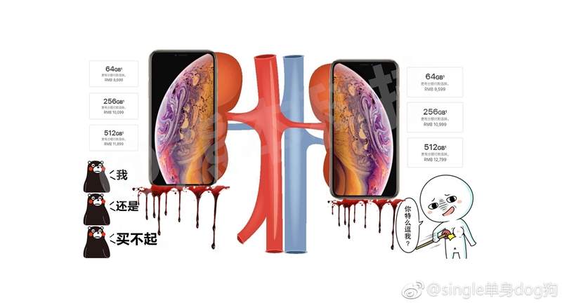 窮人才看發布會，土豪睡醒直接買《iPhone梗圖》爆紅　網友用這些圖以示抗議w - 圖片6