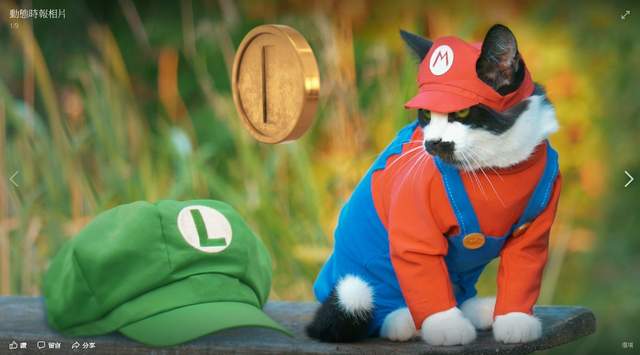 《瑪利歐喵險記》打算救公主但最後好像救錯人惹XD 《瑪利歐喵險記》打算救公主但最後好像救錯人惹XD
