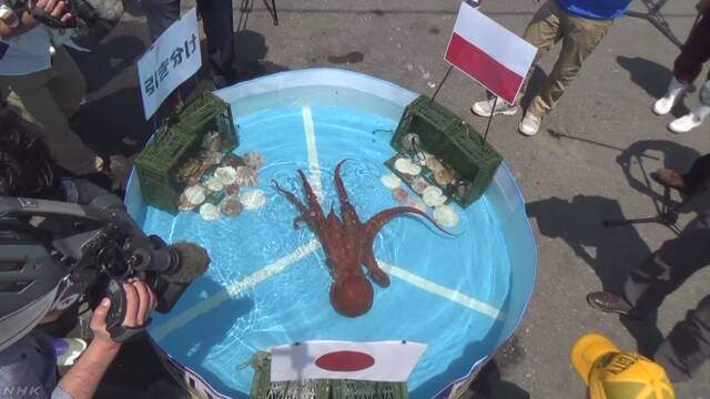 《北海道世足章魚哥》神準預測日本隊3場比賽的下場竟然是...