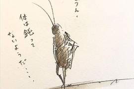 《小強活動週期開始》警告氣溫回升的現在作戰活動始動 《小強活動週期開始》警告氣溫回升的現在作戰活動始動