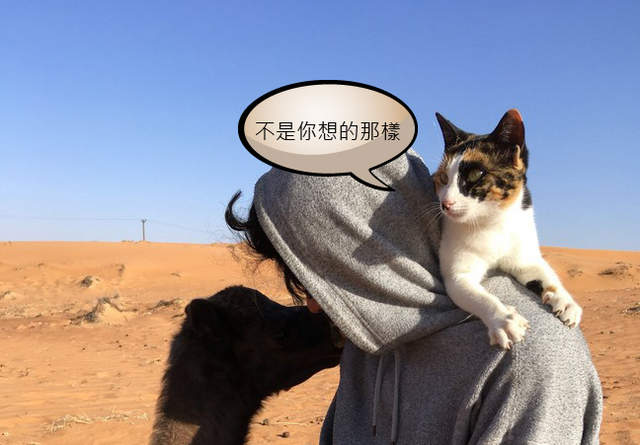 《貓與駱駝的關係》事情絕對不像你想的那樣XD