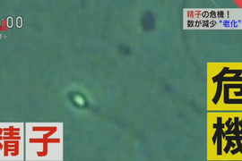 抽菸肥宅要注意《NHK公布精子無力的7大原因》無法懷孕不要怪老婆…… 抽菸肥宅要注意《NHK公布精子無力的7大原因》無法懷孕不要怪老婆……