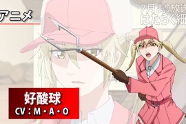 第4話《工作細胞》的《理想與現實》金髮雙馬尾的「嗜酸性球」姊姊變成新萌對象啦 第4話《工作細胞》的《理想與現實》金髮雙馬尾的「嗜酸性球」姊姊變成新萌對象啦